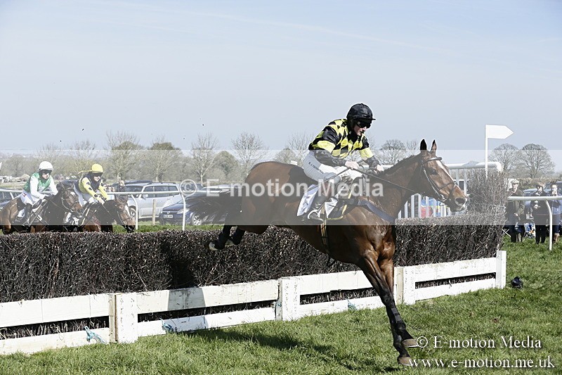 PtP 260317 78 - Mendip Farmers Point-to-Point Ston Easton 26/03/17