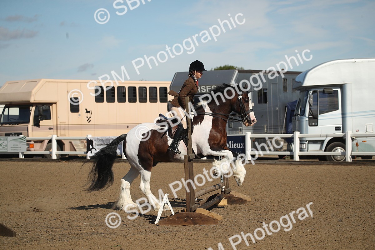 SBM_12740 - Class 504b - Junior Working Veteran - 40cm (20+)