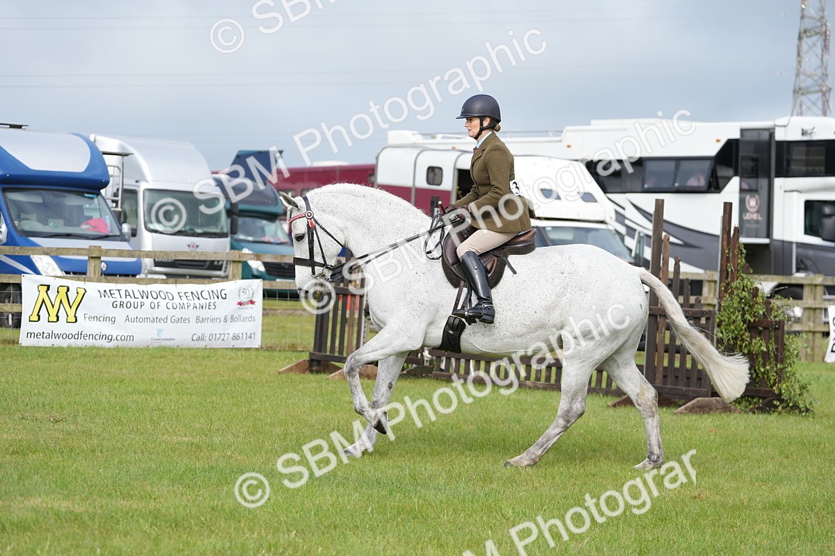 SBM_10588 - Class 97-98 - LIHS BSHA Rising Star Working Show Horse Hunter