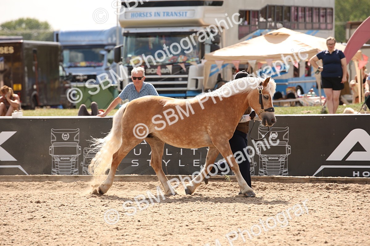 SBM_04564 - Class 20 IH Veteran
