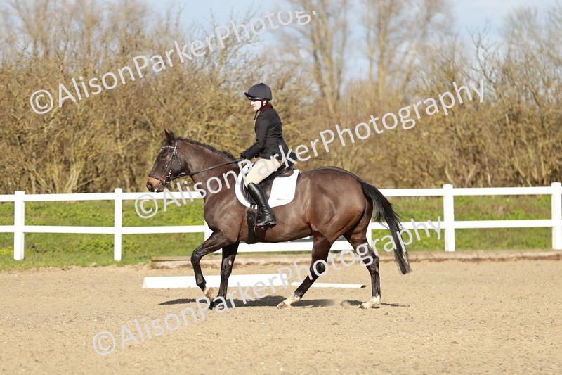 20260314-5355 - DR4 - Prelim 2