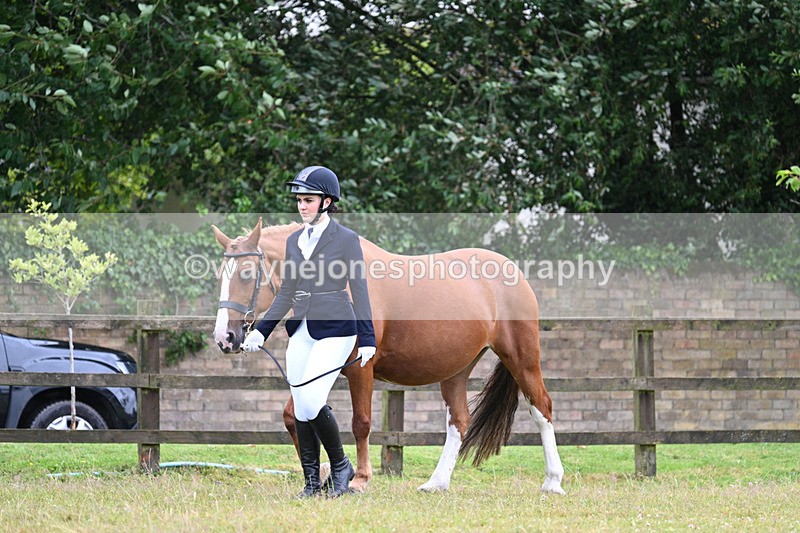 WJ7_6089 - Class 4a Prettiest Mare over 14hh