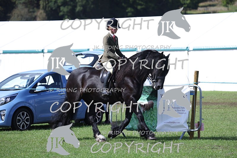 APP_3498 - Class 12 M&M ridden