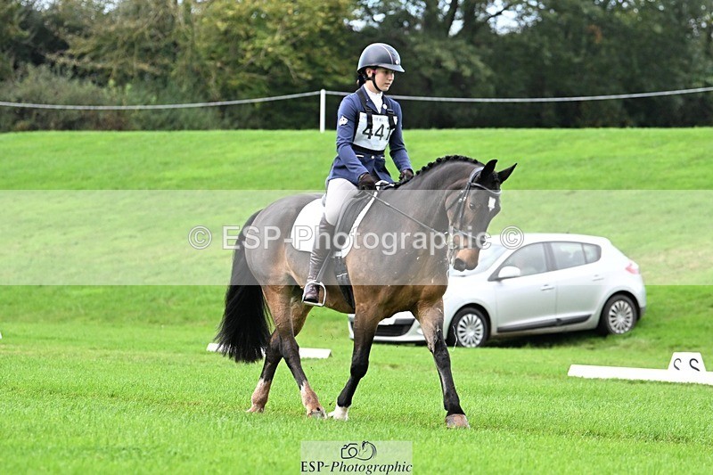 241025-092915-05802 - 441-Molly.Swain-SOCKS