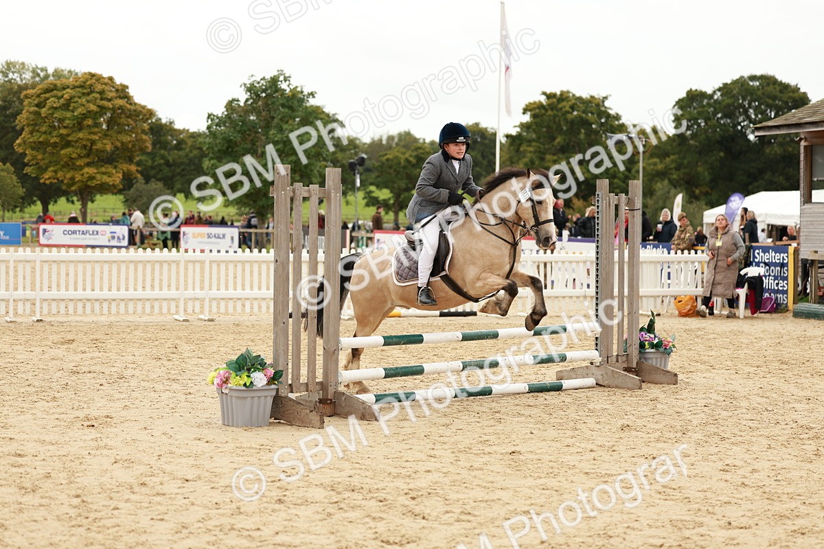SBM_61767 - J12 - Junior Pony 55cm Championship