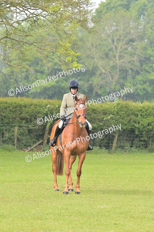 20260426-0844 - Class 18 - Novice Showing