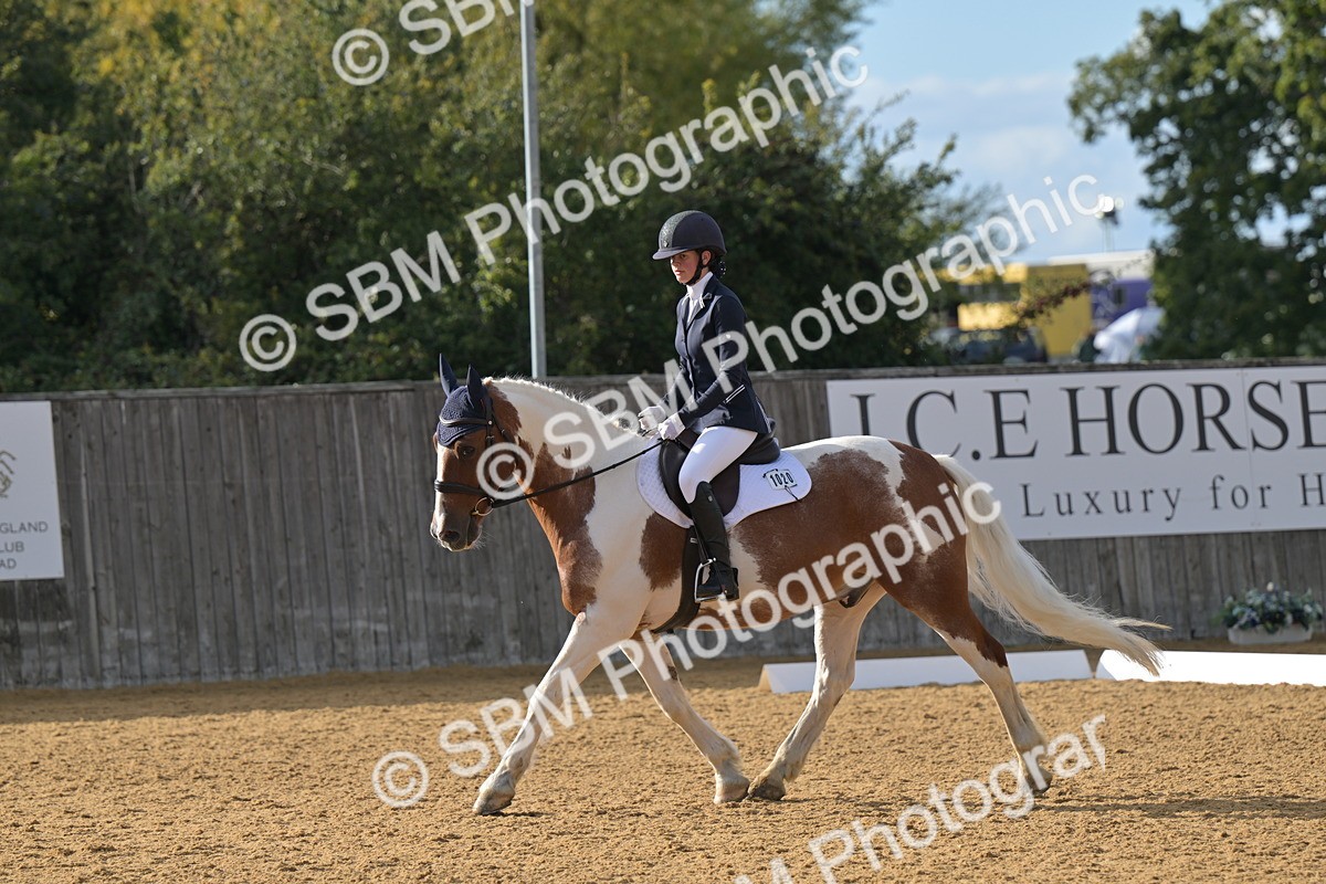 SBM_12935 - D3 - Small Tour Championship Intro 3