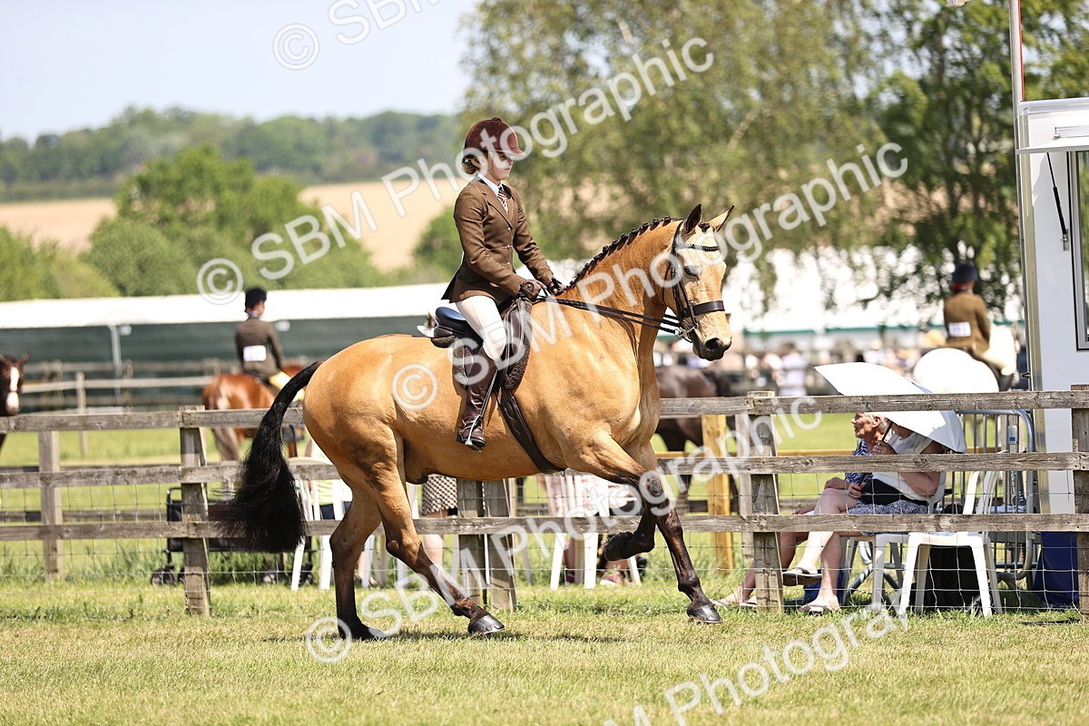 SBM_15056 - Class 79-80 - LIHS BSHA Rising Star Ridden Hunter