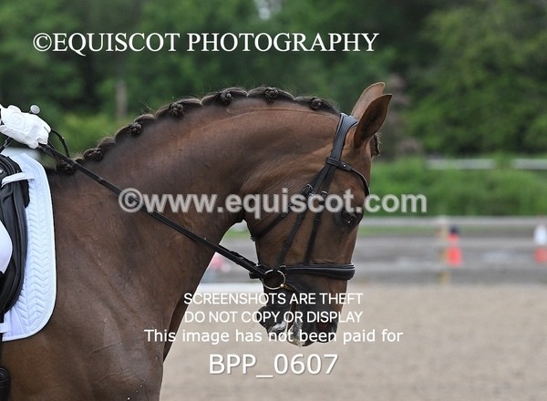 BPP_0607 - 17 N BAXTER