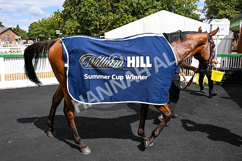 010826-Race 2-Witch Hunter-2534 - Race 2 14.08pm William Hill Summer Cup Handicap
