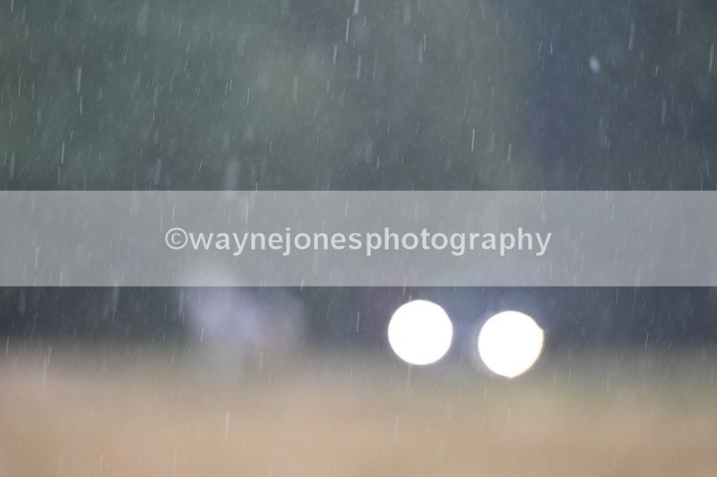 DSC_3199 - Time at Statue 12:59 to 13:49