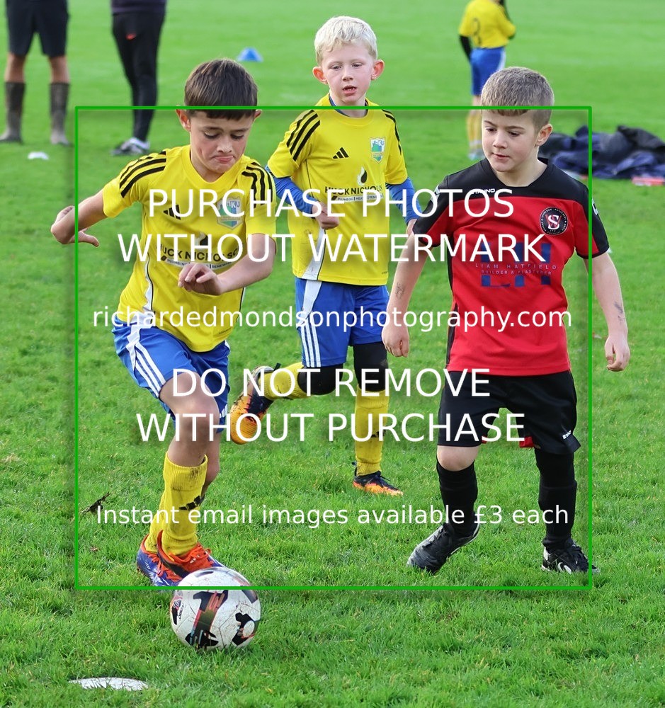533A3076 - Kendal Utd U8's vs Sedbergh Wanderers Juniors U8 (8/11/25)