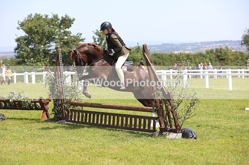 JPP_2405 - Class 21: Working Hunter 60cm