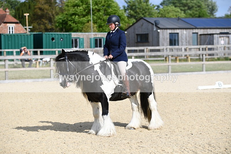 WJ5_7791 - Time 16:40 to 16:55