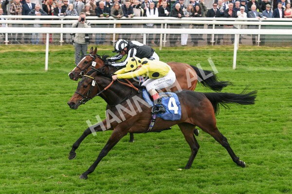 yr13052022r2-27 - Race 2 2.25pm Oaks Farm Stables Fillies' Stakes (registered as the Michael Seely Memorial Stakes)