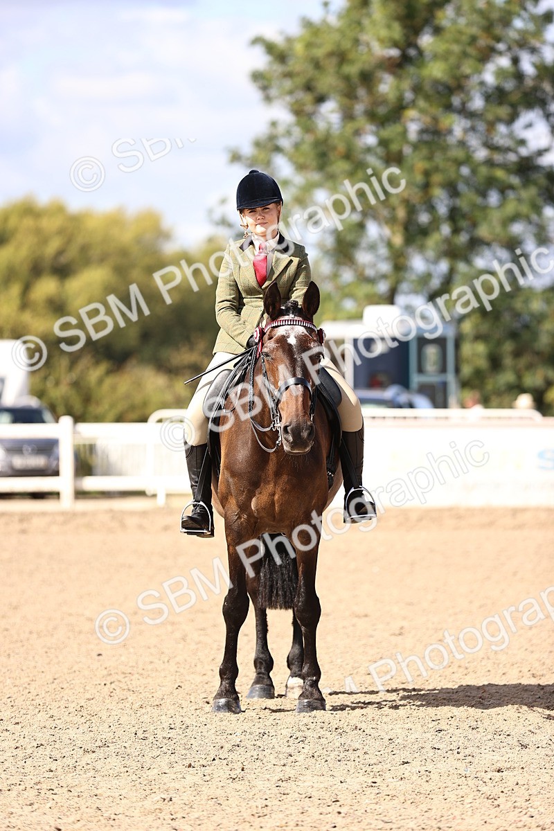 SBM_12985