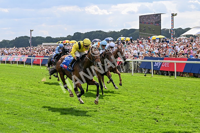 220826-Race 2-Infraad-9784 - Race 2 14.25pm Sky Bet Melrose Handicap
