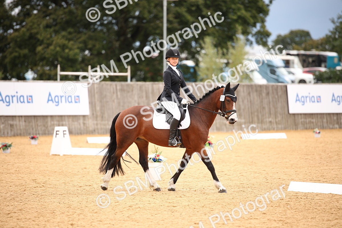 SBM_12229 - D3 Small  Tour Championship Intro A