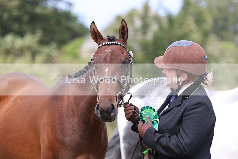 3E7A5597 - Class 20: Sports Horse In Hand