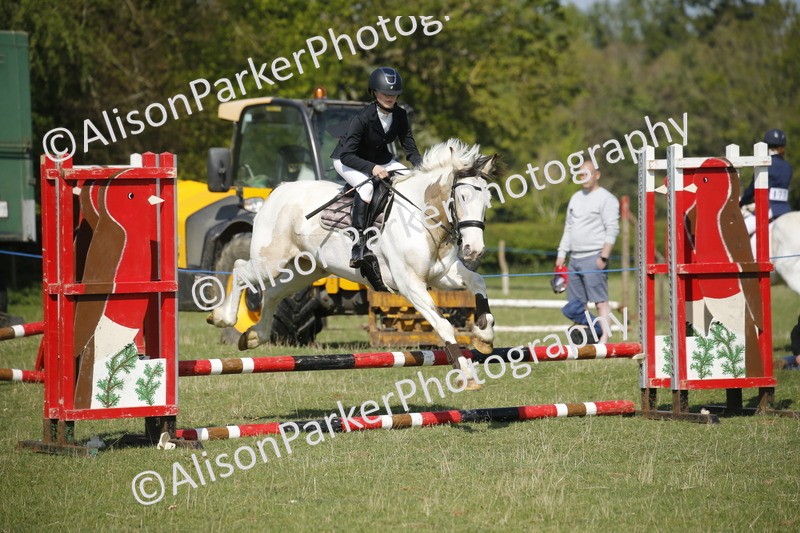 20250427-0445 - Class 12 - Rookie Jumping 40cm