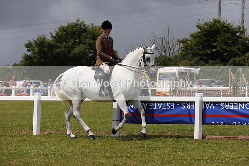 1X9A4226 - Plaited Ridden Championship