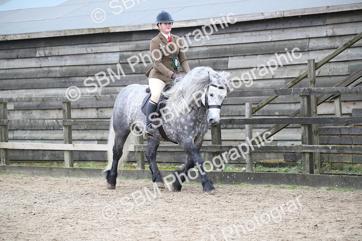 SBM_006469 - Class 10-13 - RIHS Small Large Breeds