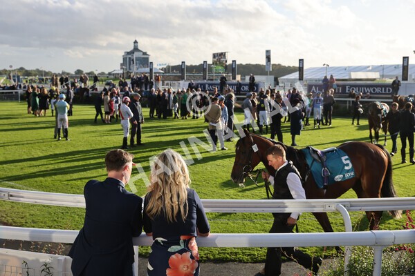 yr07102022r6-2 - Race 6 5.00pm William Hill Lengthen Your Odds EBF Novice Stakes