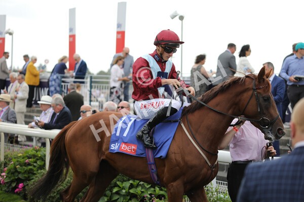 yr20082022r2-18 - Race 2 2.35pm Sky Bet Melrose Stakes