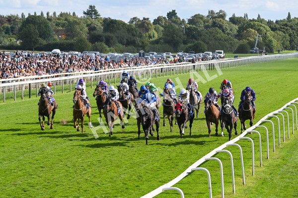 240824-Race 5-Elmonjed-1737 - Race 5 4.10pm Sky Bet Constantine Handicap