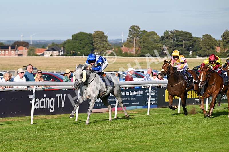 220926-Race 7-Mudamer-5031 - Race 7 5pm Fango Handicap (Div II)