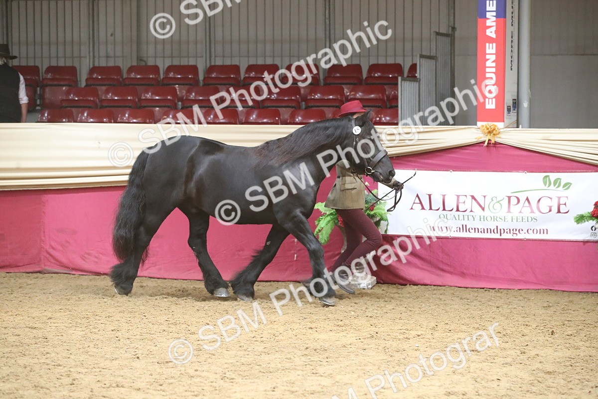 SBM_05498 - Class 9R - Regional IH Pre-Vet
