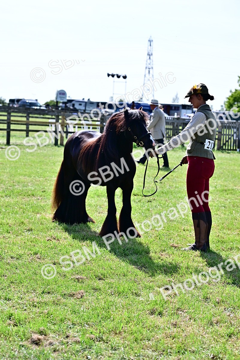 SBM_09480