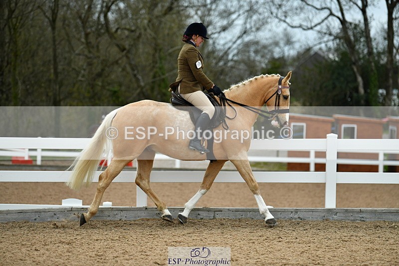 230416A-134250-04919 - Cls 60 Ridden Show Horse