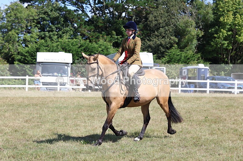 3E7A6387 - Working Hunter Championship