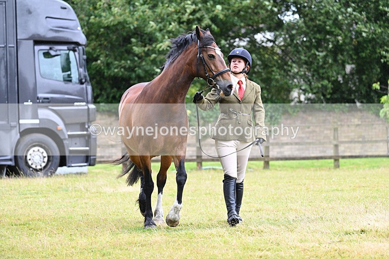 WJ7_6028 - Class 4a Prettiest Mare over 14hh