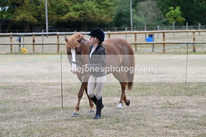 WJ7_8003 - Class 4 Prettiest Mare up to 14.2hh