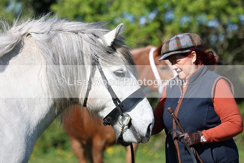 3E7A8648 - Class 13: M & M Large Breeds