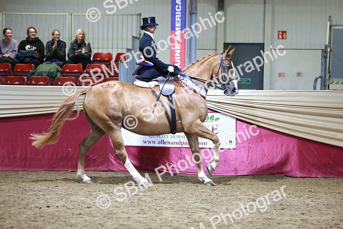 SBM_20969 - Class N - Side Saddle Champ