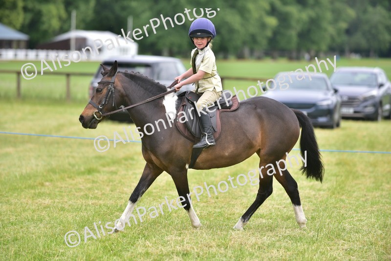 20260614-2696 - Class 13 - Pony Club Pony