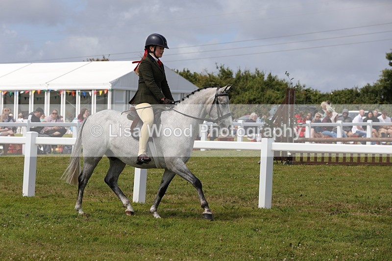 1X9A3968 - Class 32: Show Hunter Pony 153cm and under
