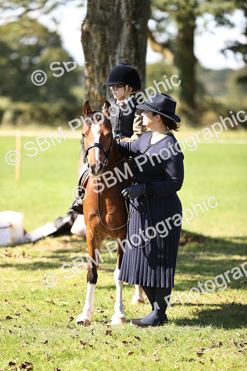 SBM_19365 - S3 - TSR Ridden Pony Showing
