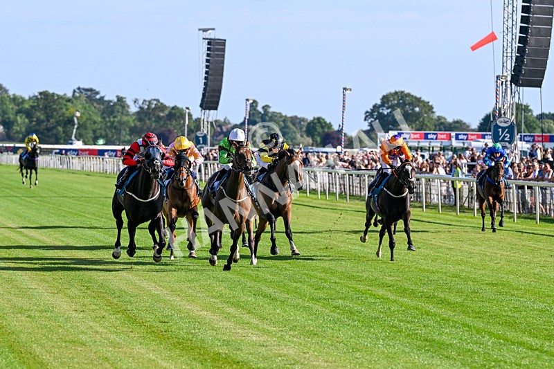 240726-Race 2-Vaguely Royal-5086 - Race 2 18.05pm Elevator Company Handicap