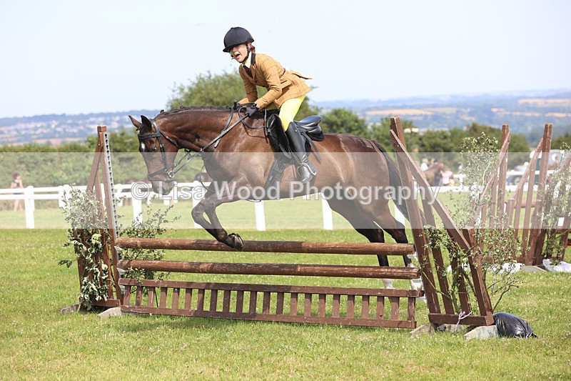 JPP_3567 - Class 23: Working Hunter 80cm