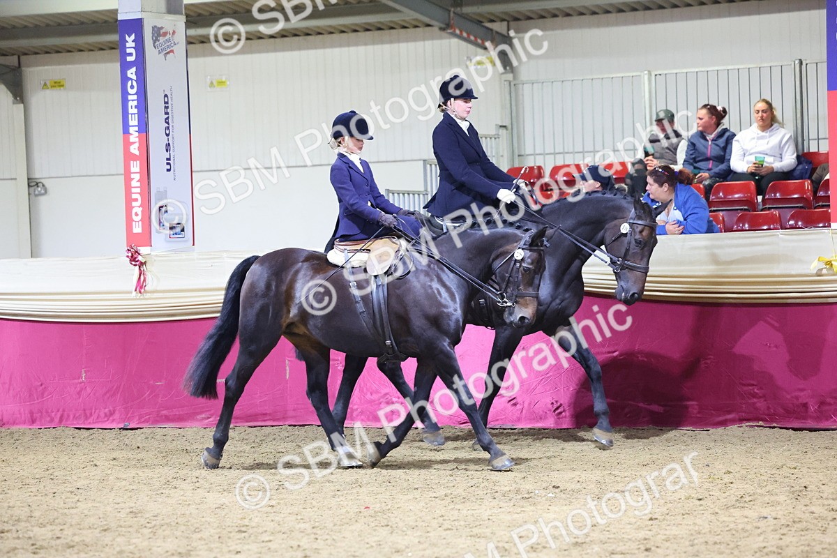 0B8A4302 - Class M Ridden Pairs Champ
