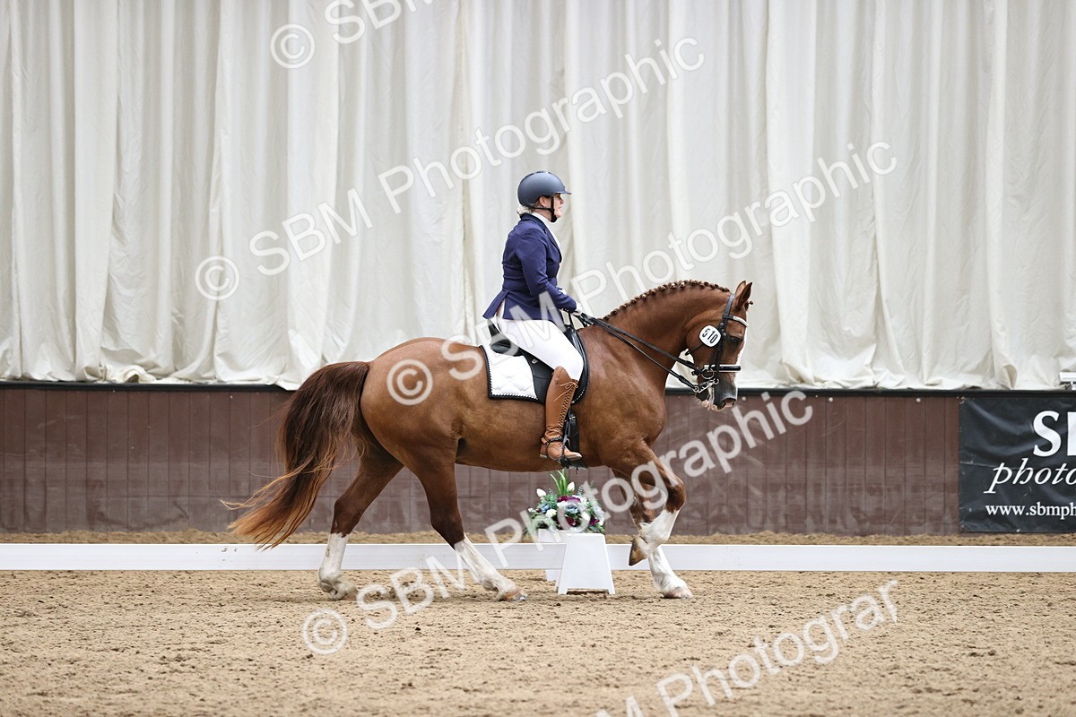 SBM_012634 - class 7 - Elementary FSM