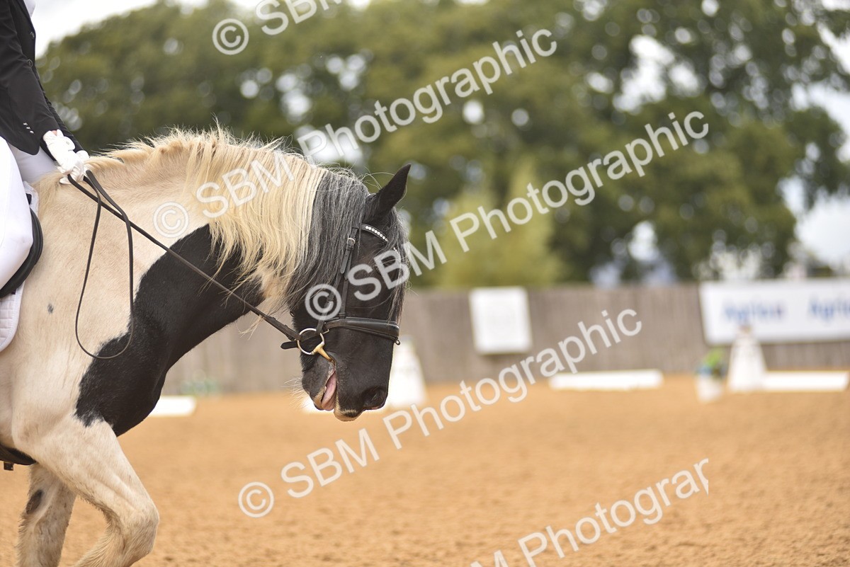 SBM_42548 - D22 - Junior Championship Intro 3