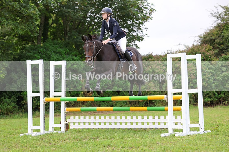 3E7A6987 - Class 5: Senior British Novice/90cm open