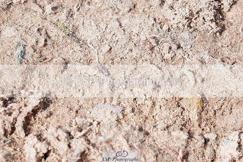 250427-115802-16319 - Cls 4 - 2 Star Small Tour