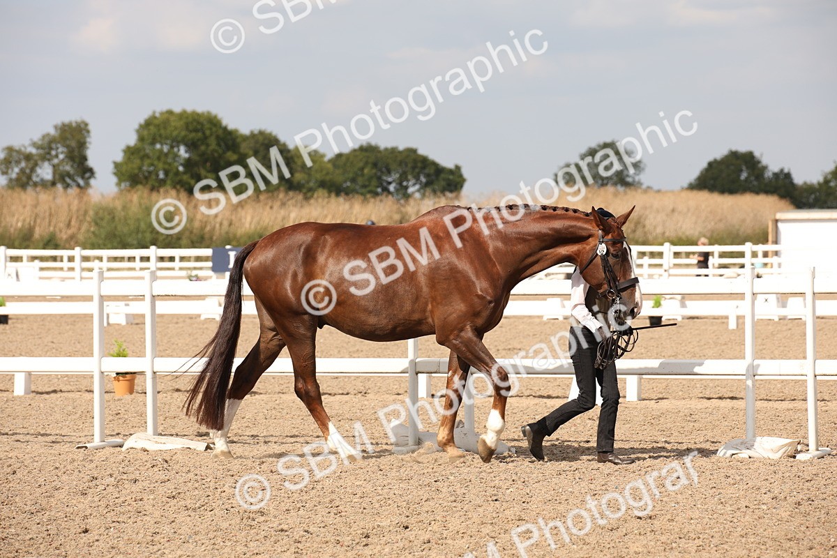 SBM_07037 - Class 25 IH Foreign Breeds- Pure bred
