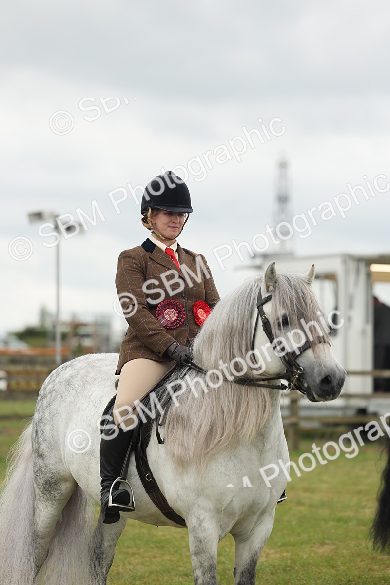 SBM_09038 - Class 78-80 - Ridden M&M Non Welsh Ponies